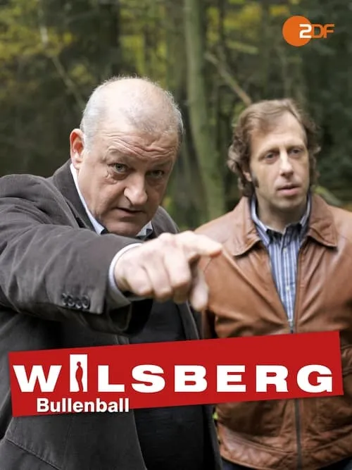 Póster de la película Wilsberg: Bullenball