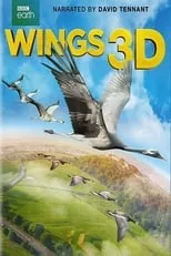 Poster de la película Wings 3D - Películas hoy en TV