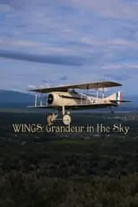 Película Wings: Grandeur in the Sky