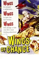 Póster de Wings of Chance