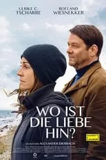 Portada de Wo ist die Liebe hin?