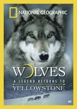 Póster de la película Wolves: A Legend Returns to Yellowstone