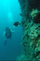 Richard Fitzpatrick es  en Wonders of the Great Barrier Reef with Iolo Williams