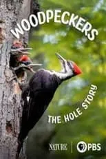 Portada de Woodpeckers: The Hole Story