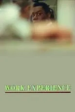 Póster de la película Work Experience