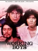 Póster de la película Working Boys