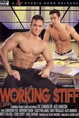 Película Working Stiff