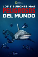 Portada de World's Most Dangerous Shark?