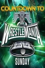 Poster de WWE Countdown to WrestleMania XL Sunday