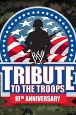 Póster de la película WWE Tribute to the Troops 2012