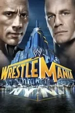 Poster de WWE WrestleMania 29