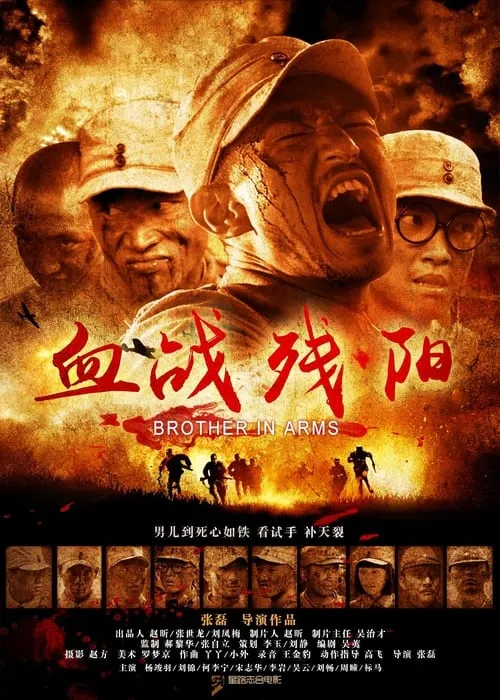 Póster de la película 血战残阳