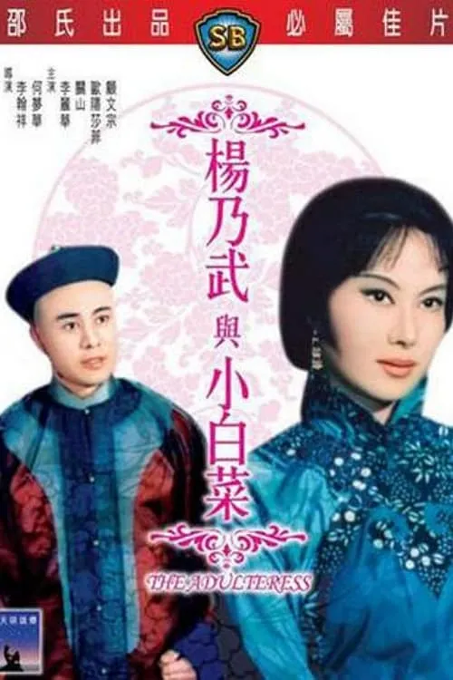 Póster de la película 楊乃武與小白菜