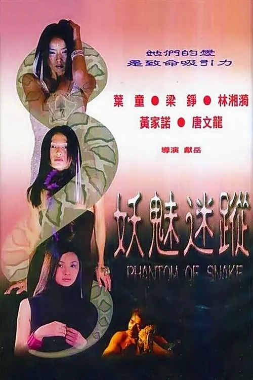 Póster de 妖魅迷蹤