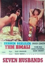 Película Yedi Kocalı