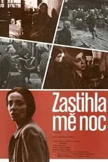 Póster de la película Zastihla mě noc