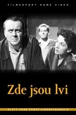 Película Zde jsou lvi