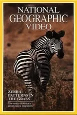 Póster de la película Zebras: Patterns in the Grass