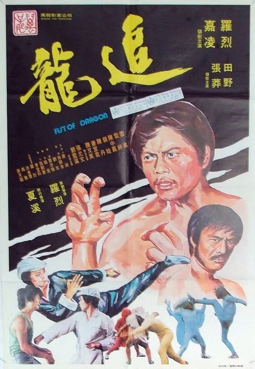 Póster de 追龍