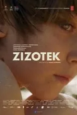 Poster de Zizotek