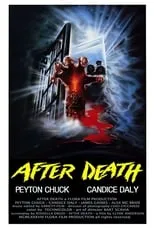 Portada de Zombi 4: After Death