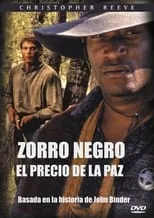 Póster de la película Zorro Negro II