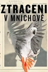 Poster de Ztraceni v Mnichově