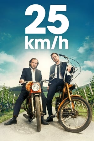 25 km/h portada