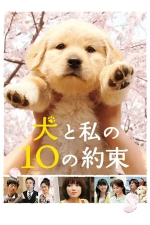 10 Promises to My Dog portada