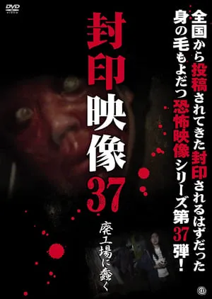 難波金融伝ミナミの帝王37 土俵際の伝説 portada