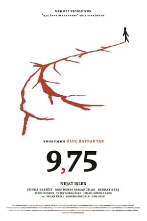 9,75 Santimetrekare portada