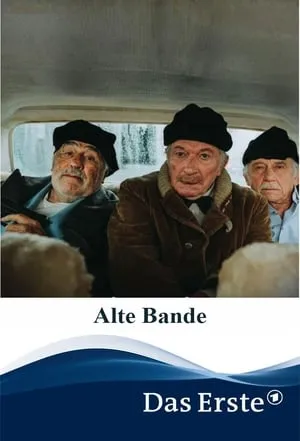 Alte Bande portada