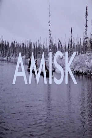 Amisk portada