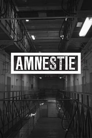 Amnestie portada