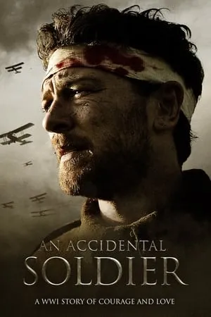 An Accidental Soldier portada