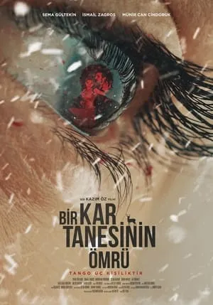 Bir Kar Tanesinin Ömrü portada