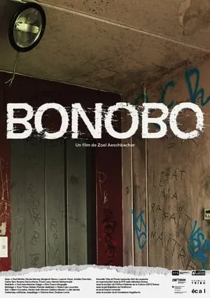 Bonobo portada