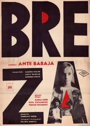 Breza portada