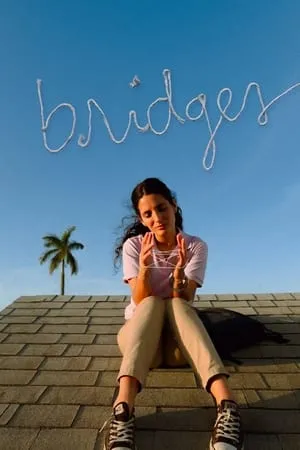 Portada de Bridges