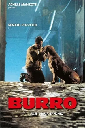 Burro portada