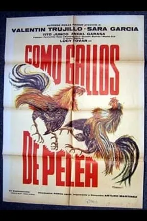 Como gallos de pelea portada