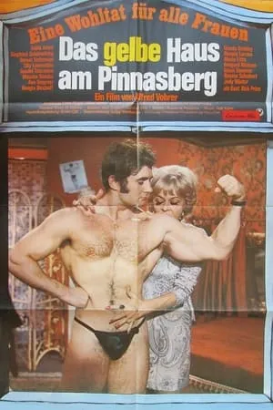 Das gelbe Haus am Pinnasberg portada