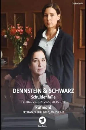 Dennstein & Schwarz - Pro bono, was sonst! portada