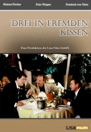 Drei in fremden Kissen portada