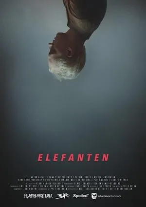 Elefanten portada