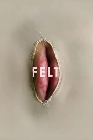 Felt portada