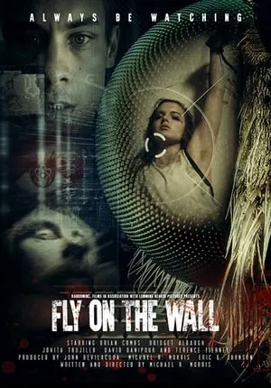 Fly on the Wall portada