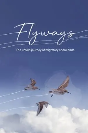 Flyways portada