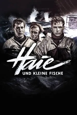 Haie und kleine Fische portada