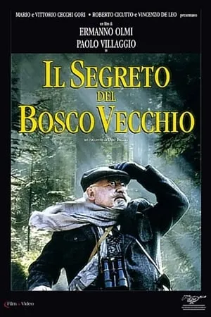 Il segreto del bosco vecchio portada